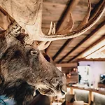 Hotel Margarethenstein Boutique Including Zell Am Summercard Kaprun